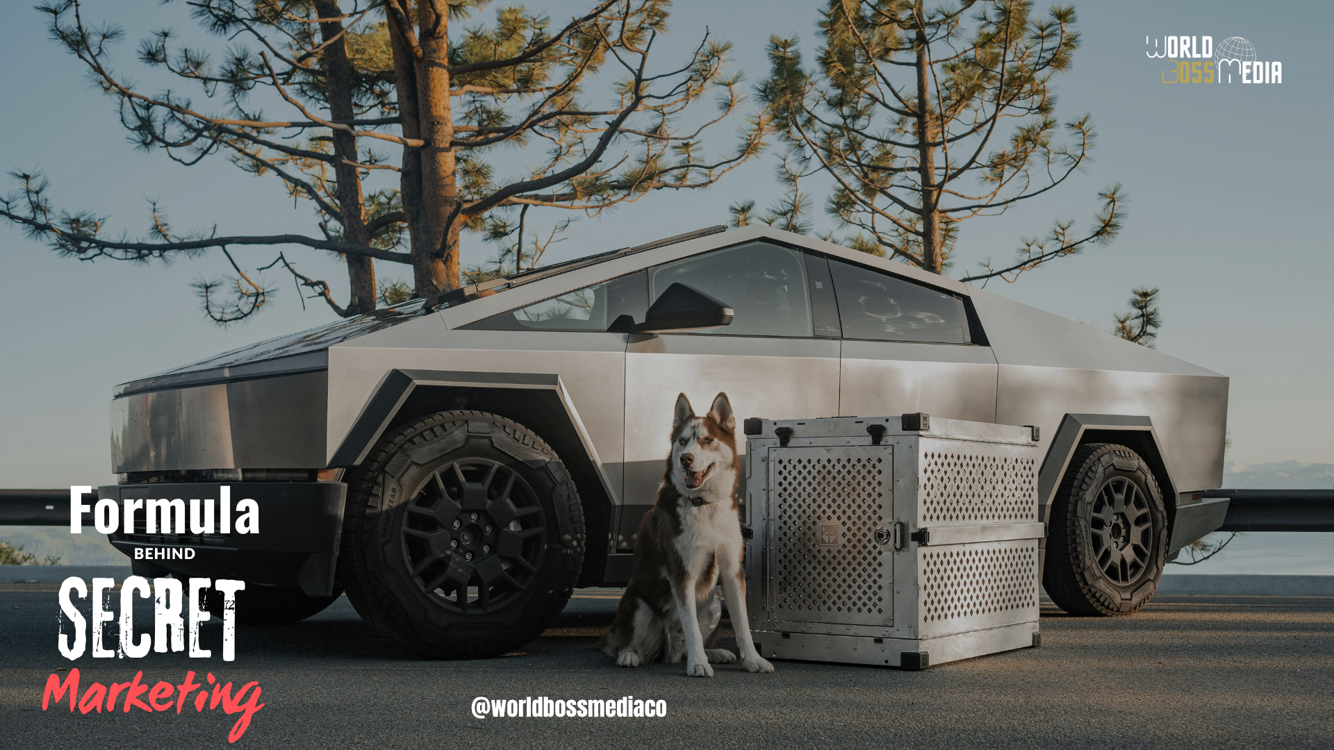 The Secret Formula Behind Viral Marketing Success